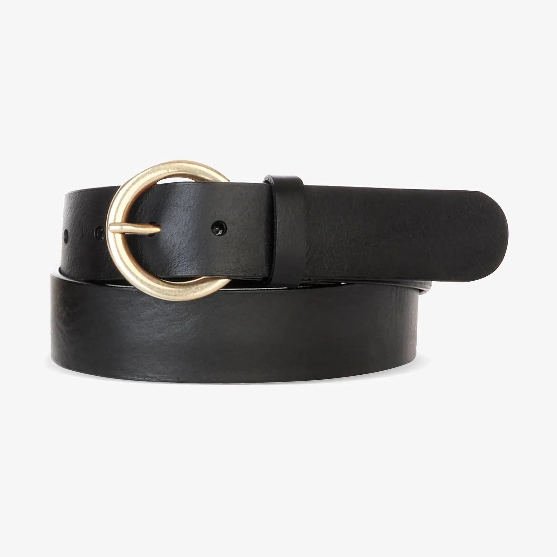 Bridle belt 2025