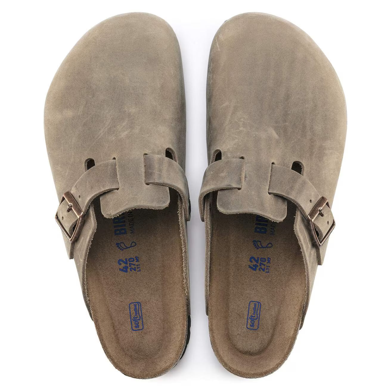 BOSTON SFB FL TOBACCO BROWN