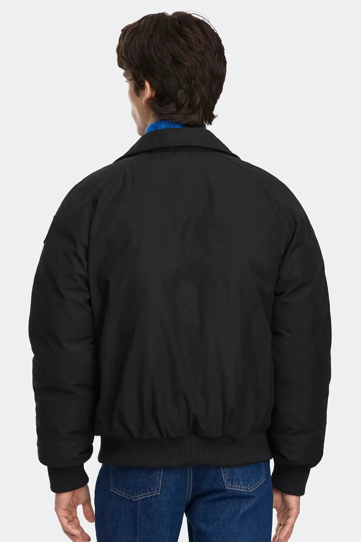 MIMICO BOMBER - TD BLACK