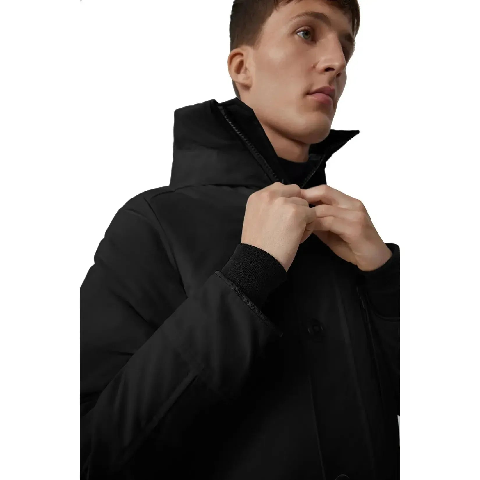 CHATEAU PARKA BLACK LABEL-MENS WINTER COATS & JACKETS-CANADA GOOSE-JB Evans Fashions & Footwear