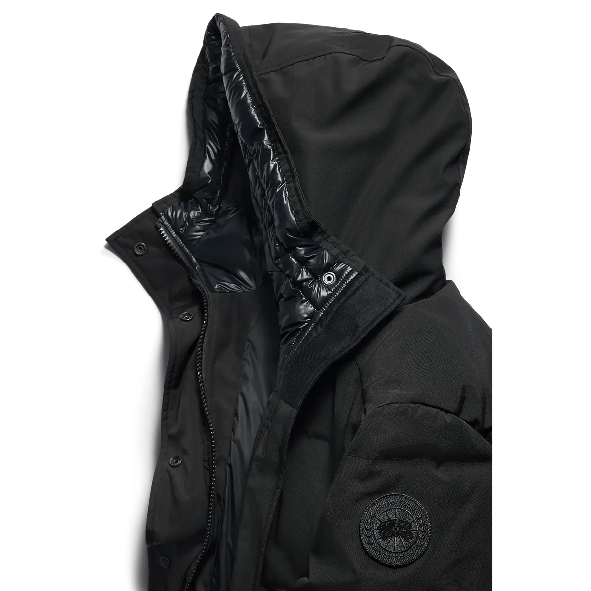 LOUISE PARKA - TD BLACK-LADIES WINTER COATS & JACKETS-CANADA GOOSE-JB Evans Fashions & Footwear