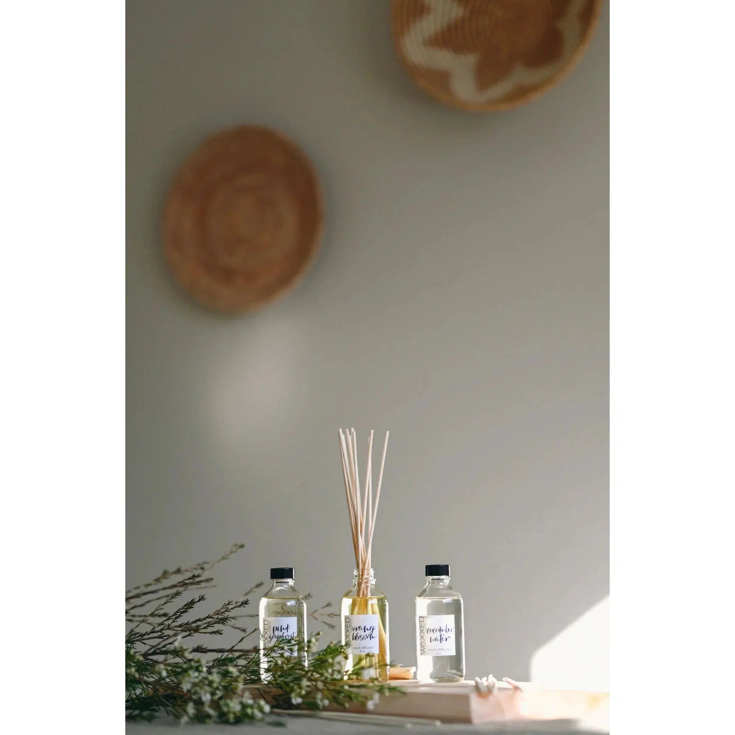 TOASTED COCONUT HOME DIFFUSER OIL-TSTCOC-O-HOME-WAXXED CANDLE CO.-JB Evans Fashions & Footwear